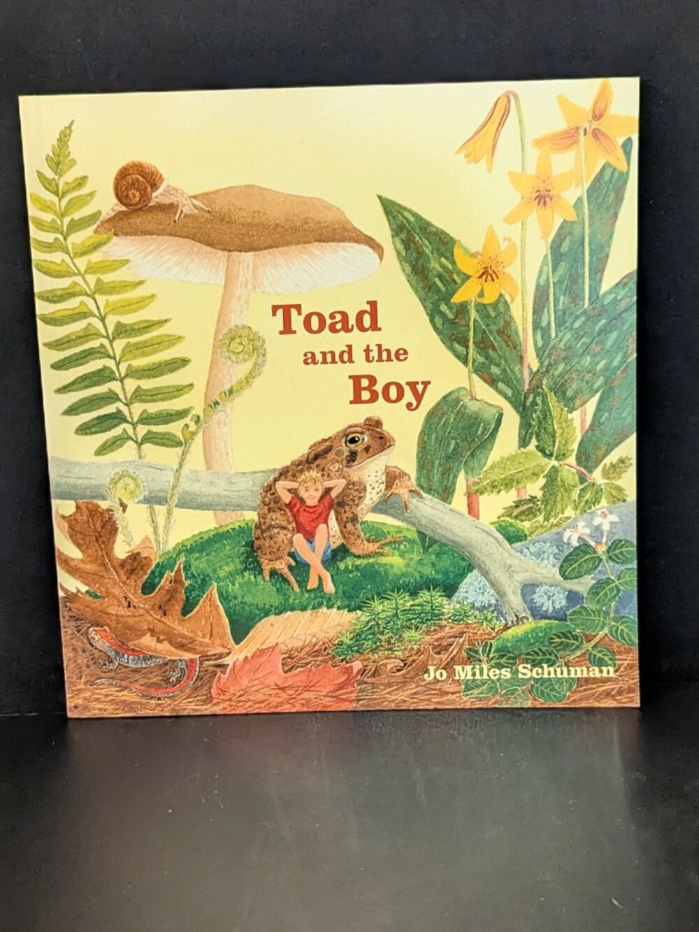 Toad and the Boy by Jo Miles Schuman